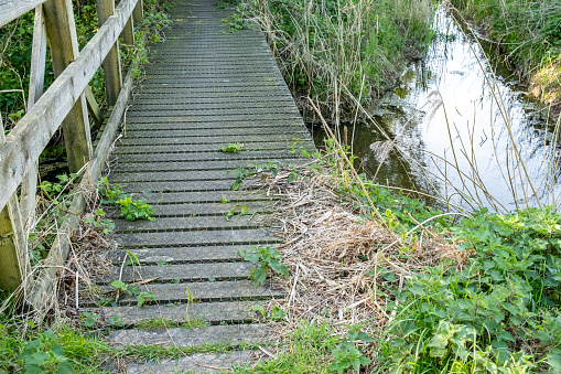 Wooden footbridge in the Norfolk countryside