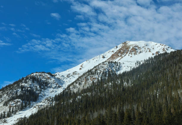 Colorado snowcapped mountain and evergreen trees against bright blue sky. Image was taken on a January day.