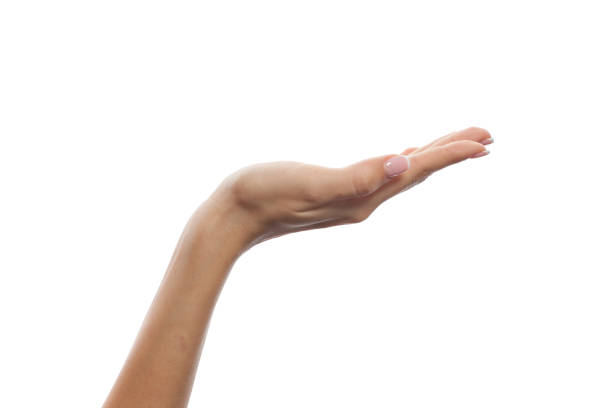 istock Human palm hand isolated. Empty female hand 2149031919