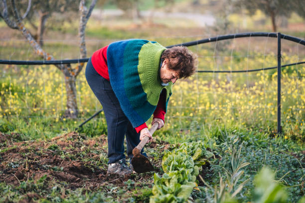 istock rural elderly woman maintaining and caring for her garden 2149032669
