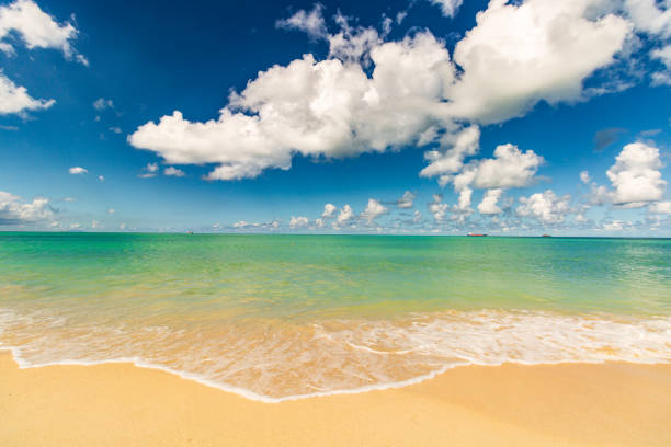 istock Caribbean beach with white sand, deep blue sky and turquoise water 2149033343