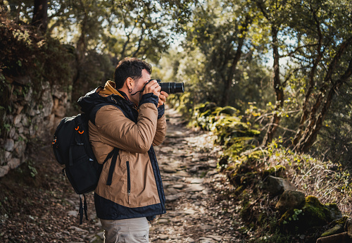 horizontal portrait of young photographer on a route through a forest path taking photographs of the surroundings