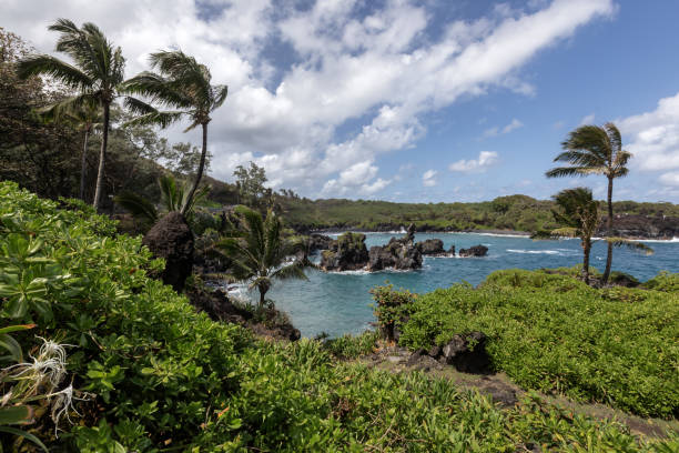 istock Waianapanapa Black Sand Beach 2149035632