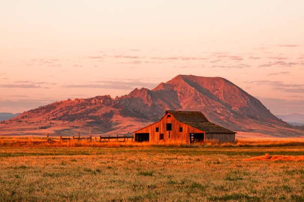 istock Old Barn in front of Bear Butte at Sunrise 2149036774