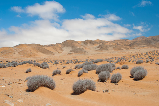 arid and dry landscape in the Atacama desert of Chile