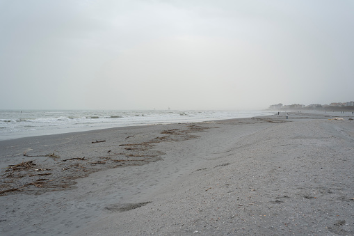 A beach with a gray sky and many branches and trunks brought by the storm, the sea is rough, lido Adriano, Ravenna.