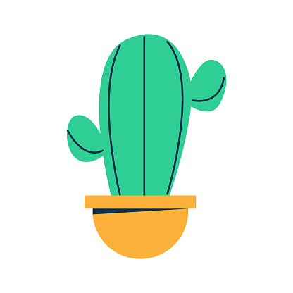 Cactu houseplant in pot on white background