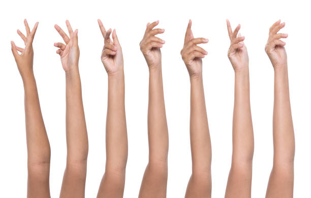 Set of woman hands isolated on white background.