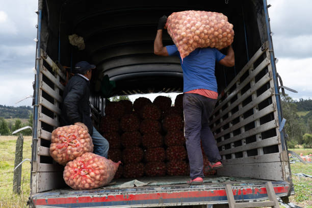 istock Men loading food into the truck 2149050361