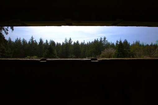 Pine woodland on a partially cloudy day as seen through a narrow slit in concrete, heavily limiting your view with the inside of the building in shadow. Taken while hiking in Fort Stevens State Park, which contains a former military instillation and is a Lewis and Clark National Historic Site, located to the west of Astoria, OR between the Pacific Ocean and the Columbia River.
