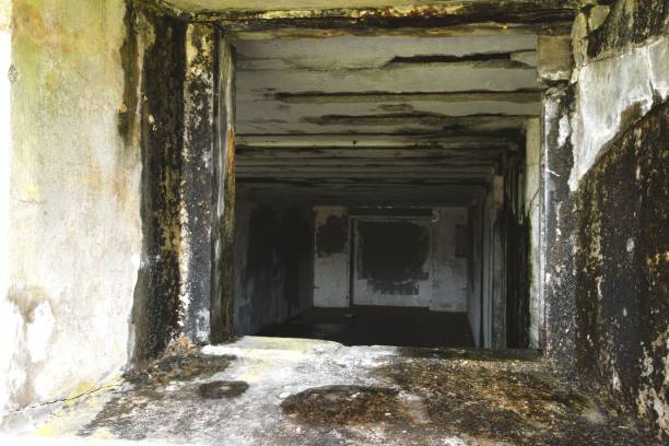 istock View through moldy and damaged window frame to empty room 2149050909