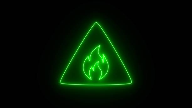 campfire in the forest