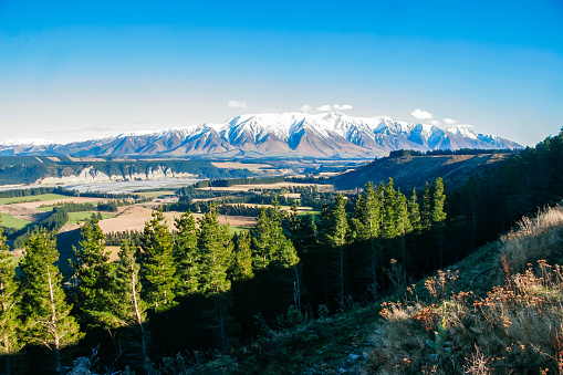 The dramatic scenery of New Zealand's South Island. Large mountains in the distance with pine forests and plains stretching out in every direction on a clear winters day