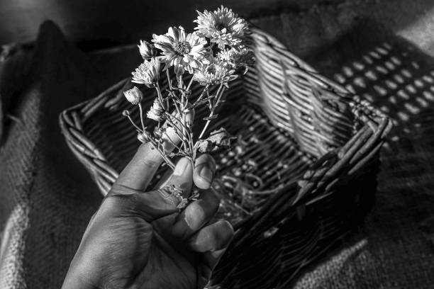 A hand holding a sprig of dried flowers
