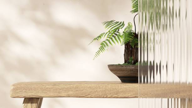 istock Tropical palm tree on wooden table counter and reeded glass partition in dappled sunlight on beige white wall 2149057373