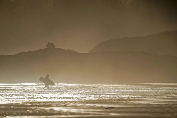 Young unrecognizable male exiting the ocean after a surfing session at Pacific Rim National Park on Vancouver Island at sunset, British Columbia