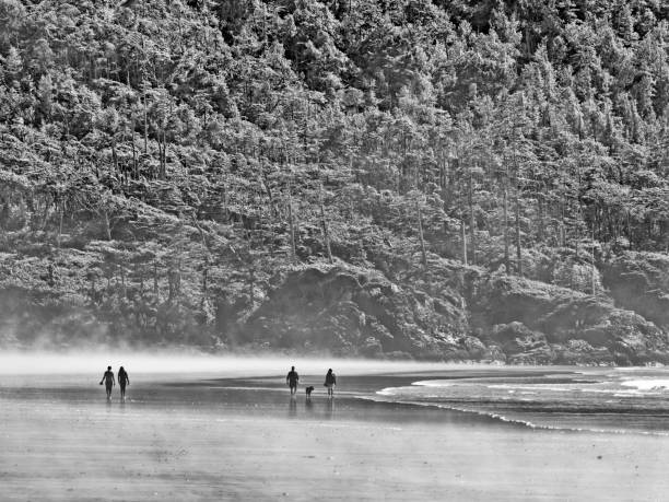 Unrecognizable couple walking their dog along the shoreline of Pacific Rim National Park on Vancouver Island, British Columbia