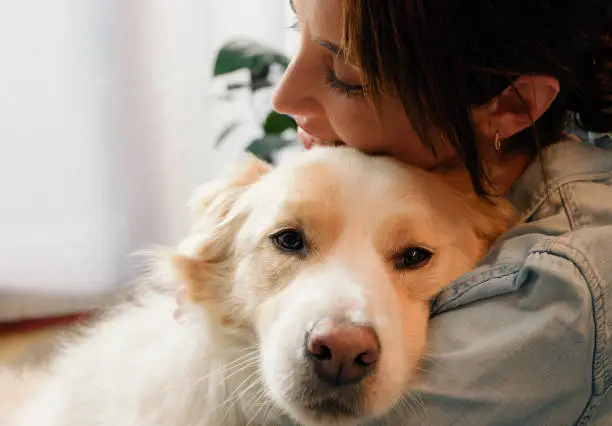 Mujer, perro y abrazo en casa con conexión amorosa como mejor amigo para apoyo emocional, consuelo o abrazo. Persona femenina, golden retriever y dueña de mascotas con cuidado de animales o relajarse, juntos o acogedores Mujer, perro y abrazo en casa con conexión amorosa como mejor amigo para apoyo emocional, consuelo o abrazo. Persona femenina, golden retriever y dueña de mascotas con cuidado de animales o relajarse, juntos o acogedores