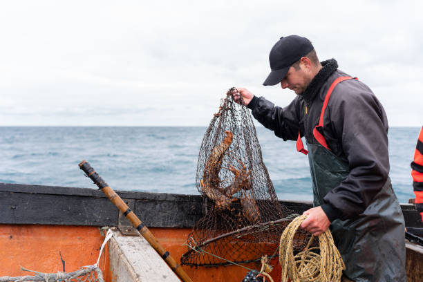 istock Fisherman holding a net with lobsters on a boat 2149060934