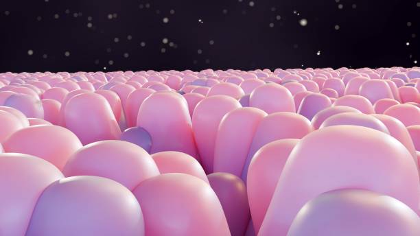 3d rendering of the intestinal epithelium cells