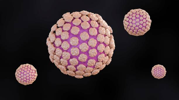 istock 3d rendering of Norovirus causes stomach flu 2149061757