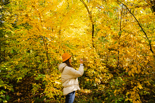 Young Asian woman taking photo in the forest in Arrowtown, New Zealand, in autumn