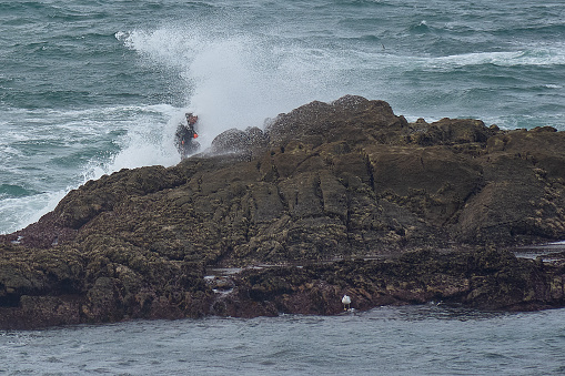 Baiona, Pontevedra, Spain; October,26,2022: Fisherman in a wetsuit in his dangerous job collecting barnacles on the rocks of the Cabo Silleiro Breakwater in Baiona, Galicia