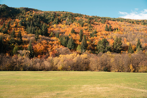 Flat expanses of grassland and forested peaks covered with autumn leaves.