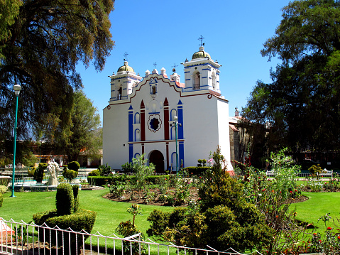 The church in Santa Maria del Tule, Mexico