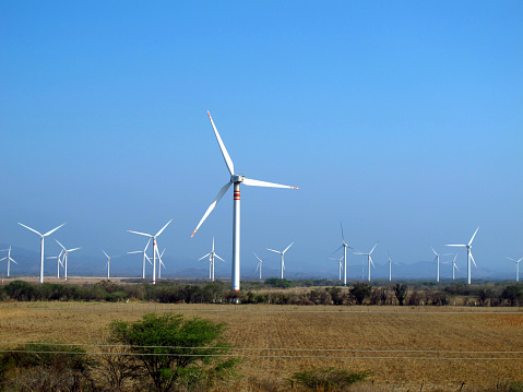 Windmills on the field, Mexico