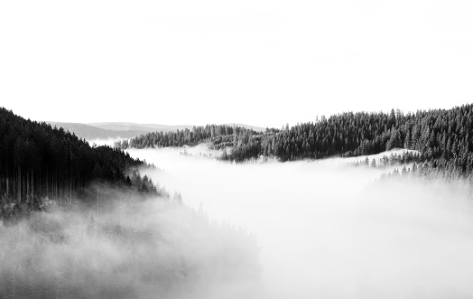 Autumnal landscape in the Black Forest. Nature in the morning with low lying clouds in the valley.