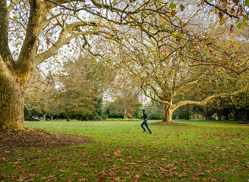 Man running under golden autumn trees. Auckland.