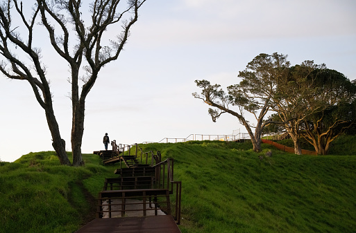 Man walking up steps on the boardwalk around the crater at Mt Eden summit. Auckland.