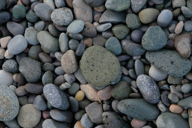 stones background. natural background stones on the beach. multi-colored pebbles with rounded stones as a background