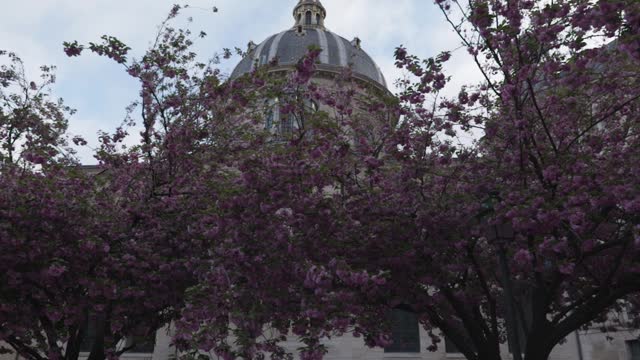 Morning spring in Paris with cherry blossom at a square with a wide angle lens dolly forward in slow motion focus on the dome