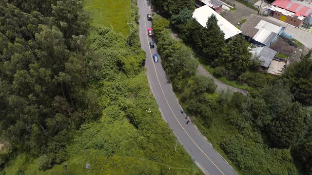 From above, the tranquil elegance of cars gliding through sunlit roads embraced by verdant greenery, a captivating drone view of nature in motion.