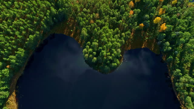 Aerial view of heart shaped lake, gently autumnal foliage in Latvia national park