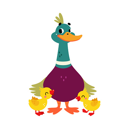 Funny Dabbling Duck Character Stand with Baby Duckling Vector Illustration. Mallard as Feathered Waterfowl Bird