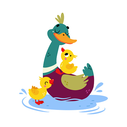 Funny Dabbling Duck Character Swimming with Yellow Baby Duckling Vector Illustration. Mallard as Feathered Waterfowl Bird
