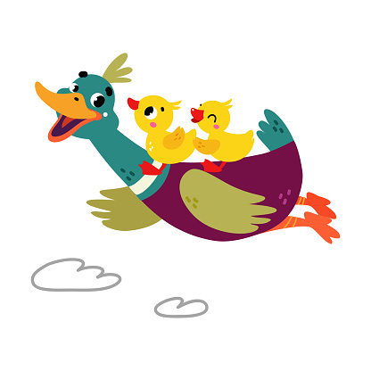 Funny Dabbling Duck Character Flying with Baby Duckling Vector Illustration. Mallard as Feathered Waterfowl Bird