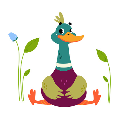 Funny Dabbling Duck Character with Wings Sitting Vector Illustration. Mallard as Feathered Waterfowl Bird