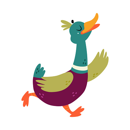 Funny Dabbling Duck Character with Wings Running Vector Illustration. Mallard as Feathered Waterfowl Bird