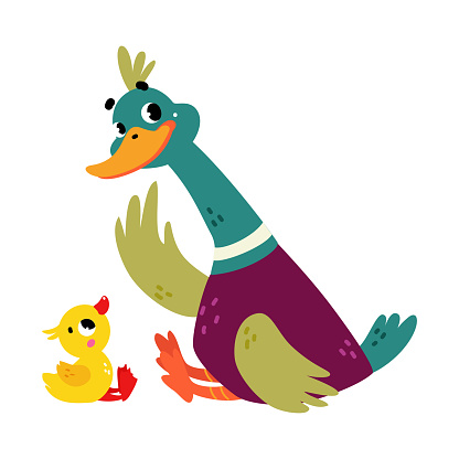 Funny Dabbling Duck Character Sitting with Little Baby Duckling Vector Illustration. Mallard as Feathered Waterfowl Bird