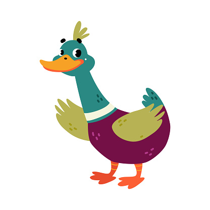 Funny Dabbling Duck Character Stand and Waving Wing Vector Illustration. Mallard as Feathered Waterfowl Bird