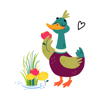 Funny Dabbling Duck Character Smell Flowers Vector Illustration. Mallard as Feathered Waterfowl Bird