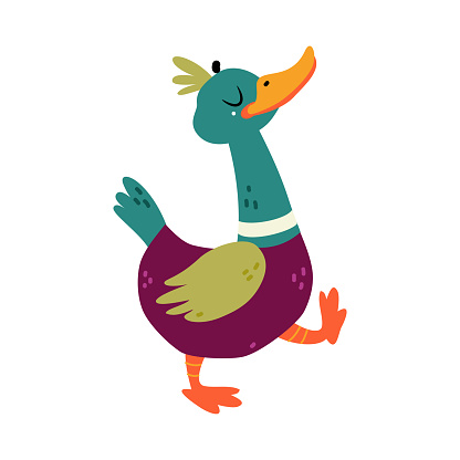 Funny Dabbling Duck Character Walking Vector Illustration. Mallard as Feathered Waterfowl Bird