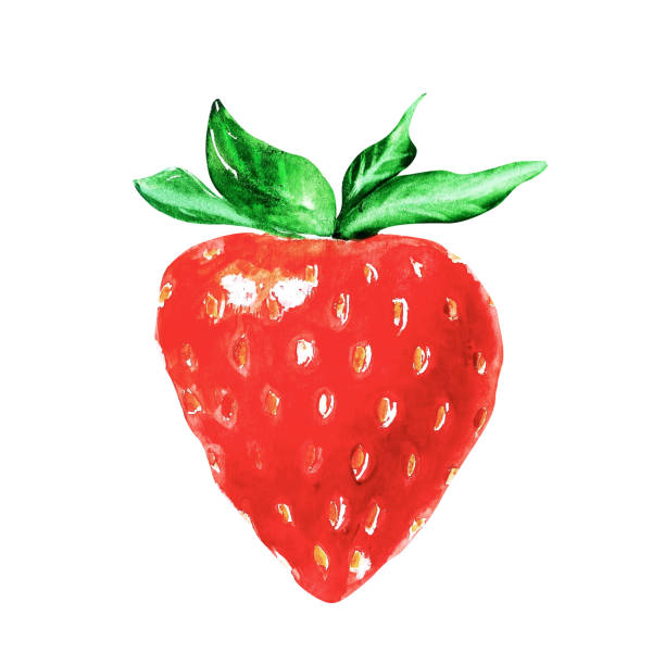 istock Watercolor strawberry in hand drawn style on white background. Raspberry healthy food isolated. Seamless print. Tropical summer print 2149070230