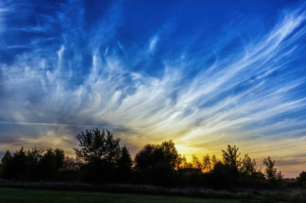 istock Evening sunset with cirrus clouds above the trees 2149070805