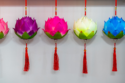 Chinese lanterns：lotus lantern