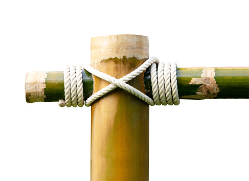 Layers of rope tied around a bamboo log isolated on white background.